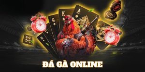 Ảnh đại diện đá gà online 789Win