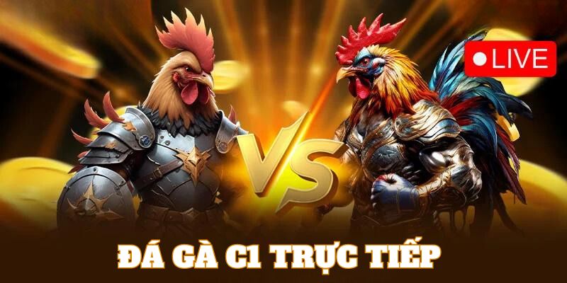 Đá gà online C1 là hình thức cá cược cược được yêu thích nhất 789WIN 