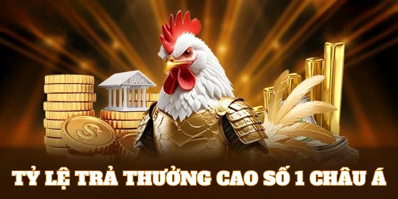 Tỷ lệ trả thưởng cao số 1 châu Á là ưu điểm của đá gà online tại 789WIN 