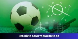 Ảnh đại diện kèo đồng banh 789WIN