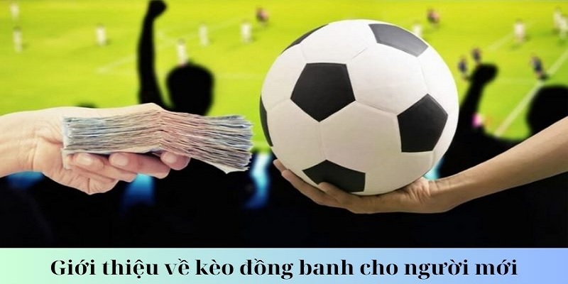 Thông tin cơ bản về kèo đồng banh mà bạn nên biết