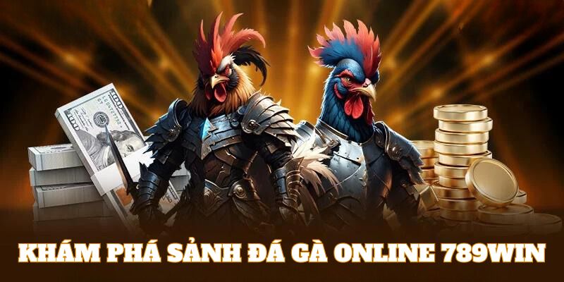 Khám phá đôi nét về sảnh chọi kê online 789WIN