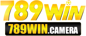 789win.camera